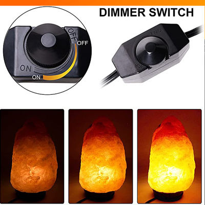 Lampada di ricambio con interruttore in linea Dimmer Us 2 Prong Ac Usa Cordone di alimentazione